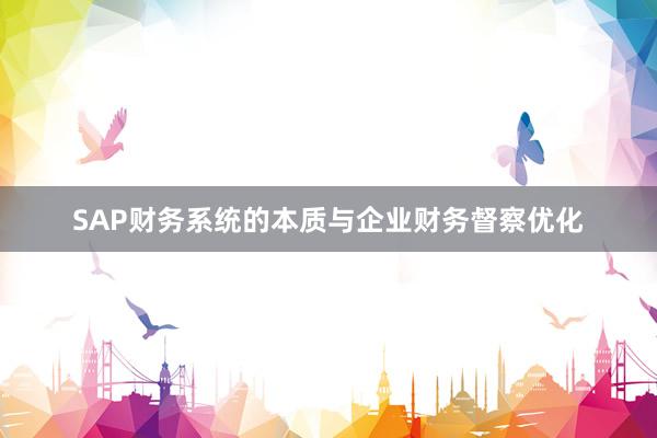 SAP财务系统的本质与企业财务督察优化